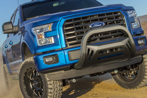 OCTA Series Bull Bar (04-21 F-150 excluding Raptor) - Black Powdercoated Stainless Steel - PATENTED